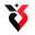 Logo VĐQG Thổ Nhĩ Kỳ