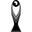 Logo CAF Champions League