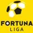 Logo Super Liga