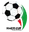 Logo Hazfi Cup