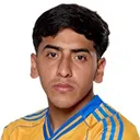 Diego Sánchez — Tiền đạo, Tigres UANL