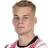 P. Lienhart