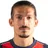 F. Papini