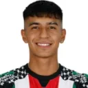 Martín Araya — Tiền vệ, Palestino