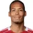 V. van Dijk