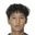Y. Xiang