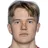 S. Hestnes