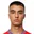 P. Djajic