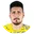 G. N. Virano