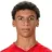 G. A. Moraes