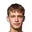 V. Shepelev