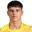 N. Tatomirovic