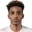 G. Fernandes