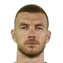 Edin Džeko — cầu thủ, Bosnia & Herzegovina