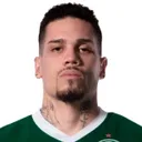 Paulinho — cầu thủ, Palmeiras