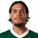Gustavo Gómez — cầu thủ, Palmeiras