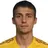 P. Pavlyuchenko