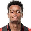 Paulinho — cầu thủ, Botafogo