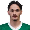 Khellven — cầu thủ, Palmeiras