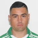 Diego Vallejos — cầu thủ, Linares Unido
