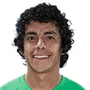 Daniel Mantilla — cầu thủ, Llaneros
