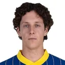Domagoj Bradarić — cầu thủ, Hellas Verona