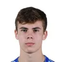 Tomislav Krizmanić — cầu thủ, Kustosija