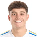 Daniel James — cầu thủ, Leeds