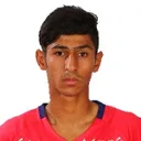 Mohammad Moslemipour — cầu thủ, Havadar