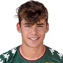 Luca Gemello — cầu thủ, Mantova