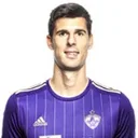 Nemanja Mitrovič — cầu thủ, Wildon
