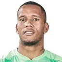 R. Goss — cầu thủ, Mamelodi Sundowns