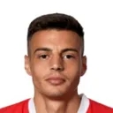 Kenan Fatkić — cầu thủ, Hansa Rostock