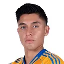 Marco Farfan — cầu thủ, Tigres UANL
