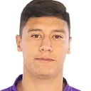 Facundo Milán — cầu thủ, Fenix