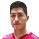 Luis Alí — cầu thủ, Real Potosí