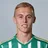 M. Hasek