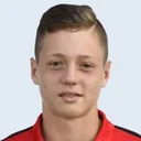Ladislav Krejčí — cầu thủ, Wolves