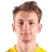V. Vallik