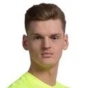 Justinas Januševskij — cầu thủ, Panevėžys