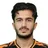 M. Hosseini
