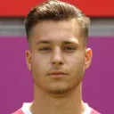 David Tomić — cầu thủ, Heracles