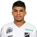 Berguinho — cầu thủ, Persib Bandung