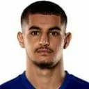 L. Mercan — cầu thủ, Fenerbahçe
