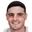 N. Perovic