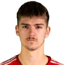 Dominik Dogan — cầu thủ, Karlovac 1919