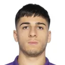 Fabiano Parisi — cầu thủ, Fiorentina