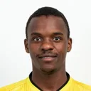 C. Petro — cầu thủ, FC Botosani