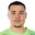 A. Ibrahimovic