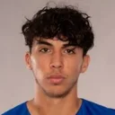 Johan Gómez — cầu thủ, Chicago Fire